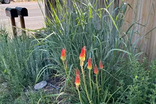 5101 Emigration Canyon Rd, Salt Lake City, UT 84108 - Photo 2