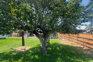 118 Shuman St, East Carbon, UT 84520 - Photo 18