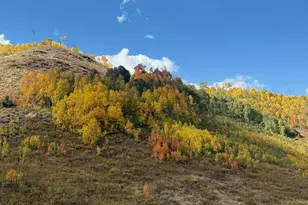 11777 Eagle Point, Huntsville, UT 84317 - Photo 24