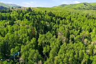 11106 Green Briar Rd, Heber City, UT 84032 - Photo 48