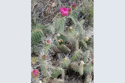 [Address not provided], Central, UT 84722 - Photo 10