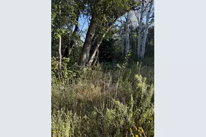 94 N Whittemore Dr E #94, Springville, UT 84663 - Photo 16
