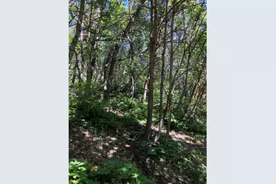 94 N Whittemore Dr E #94, Springville, UT 84663 - Photo 2