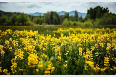 7394 E Moon Light Dr #G3.15, Heber City, UT 84032 - Photo 44
