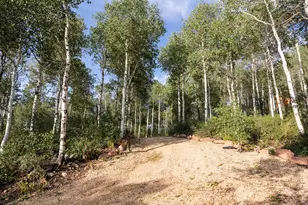 3318 S Forget Me Not Ln, Heber City, UT 84032 - Photo 50