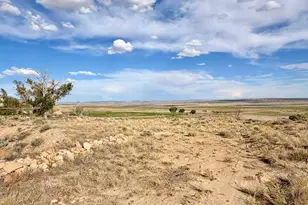910 E Clawson Bench Rd, Clawson, UT 84516 - Photo 48