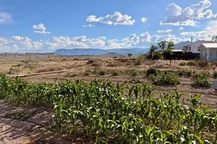910 E Clawson Bench Rd, Clawson, UT 84516 - Photo 54