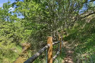6479 W Bull River Rd, Highland, UT 84003 - Photo 4