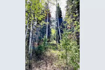 550 Red Fir Way, Oakley, UT 84055 - Photo 1