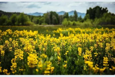 7396 E Moon Light Dr #H,3.8, Heber City, UT 84032 - Photo 44