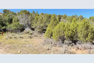 14695 N 11600 E #165, Mount Pleasant, UT 84647 - Photo 10