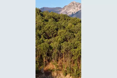 6567 Chaparral Rd #28R, Huntsville, UT 84317 - Photo 12
