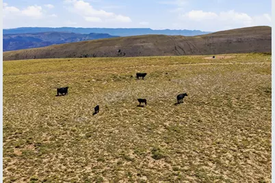 10780 Ford Ridge Rd, Helper, UT 84526 - Photo 22