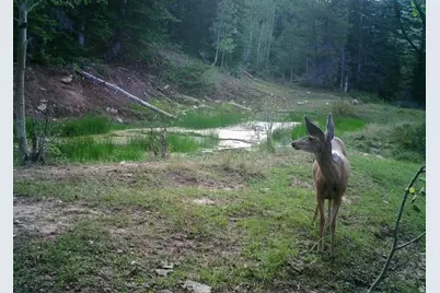 10780 Ford Ridge Rd, Helper, UT 84526 - Photo 10
