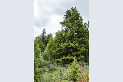 3716 Chokecherry Ln S, Kamas, UT 84036 - Photo 36