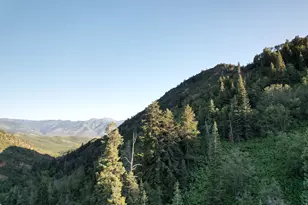 2137 N Pinecrest Canyon Rd #35 Rd E, Emigration Canyon, UT 84108 - Photo 94