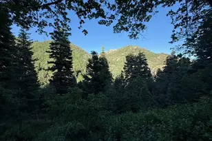 2137 N Pinecrest Canyon Rd #35 Rd E, Emigration Canyon, UT 84108 - Photo 82