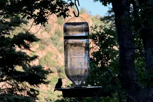 2137 N Pinecrest Canyon Rd #35 Rd E, Emigration Canyon, UT 84108 - Photo 20