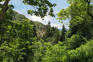 2137 N Pinecrest Canyon Rd #35 Rd E, Emigration Canyon, UT 84108 - Photo 74