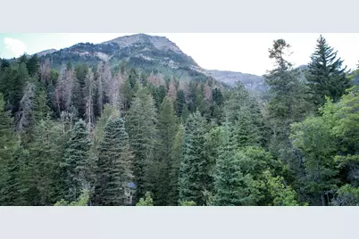 3 Sundance Rec Resort #3, Sundance, UT 84604 - Photo 8