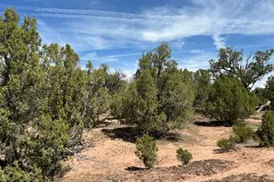 0, Talmage, UT 84073 - Photo 22