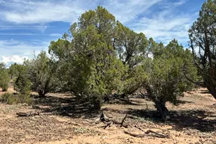 0, Talmage, UT 84073 - Photo 24