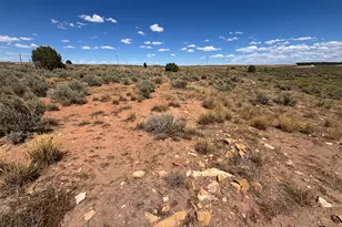 1166 E Hwy 491, Monticello, UT 84535 - Photo 60
