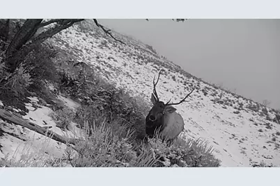 [Address not provided], Fruitland, UT 84027 - Photo 14