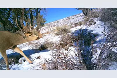 [Address not provided], Fruitland, UT 84027 - Photo 2