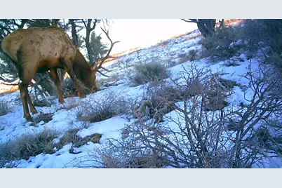 [Address not provided], Fruitland, UT 84027 - Photo 18
