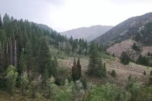 6330 Middle Fork Dr Dr, Huntsville, UT 84317 - Photo 4