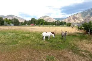 333 W Maple St, Mapleton, UT 84664 - Photo 2