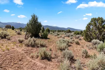 [Address not provided], Spring City, UT 84662 - Photo 20