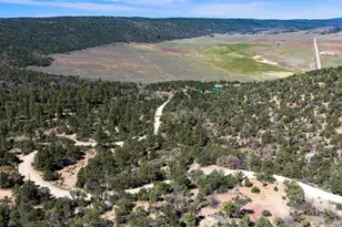 75 S Wray Mesa Rd, La Sal, UT 84530 - Photo 56