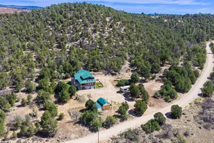75 S Wray Mesa Rd, La Sal, UT 84530 - Photo 6