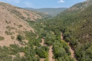 887 S Hobble Creek Rd, Springville, UT 84663 - Photo 96