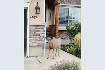 4819 E Fairway Oaks (3925 N) Dr N, Eden, UT 84310 - Photo 2