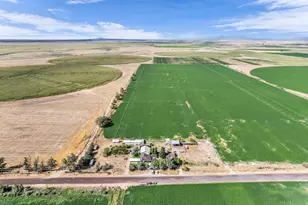4780 W Hatton Rd, Kanosh, UT 84637 - Photo 50