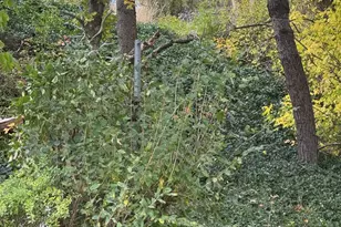 6633 E Holiday Hills Rd, Springville, UT 84663 - Photo 74