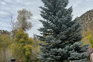 6633 E Holiday Hills Rd, Springville, UT 84663 - Photo 72