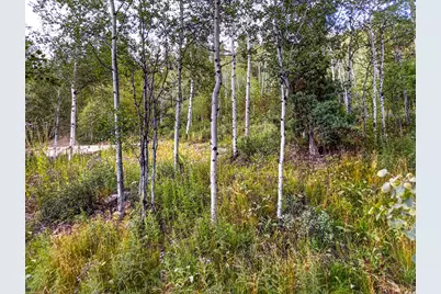 3398 River Vu Rd, Oakley, UT 84055 - Photo 44
