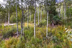 3398 River Vu Rd, Oakley, UT 84055 - Photo 44