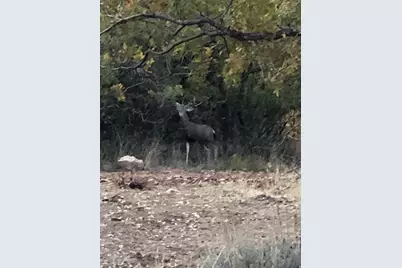 541 S Left Fork Hobb Rd E #8, Springville, UT 84663 - Photo 14