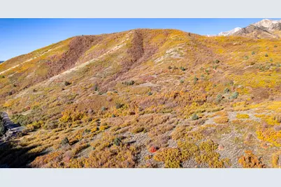 541 S Left Fork Hobb Rd E #8, Springville, UT 84663 - Photo 26