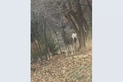 541 S Left Fork Hobb Rd E #8, Springville, UT 84663 - Photo 18