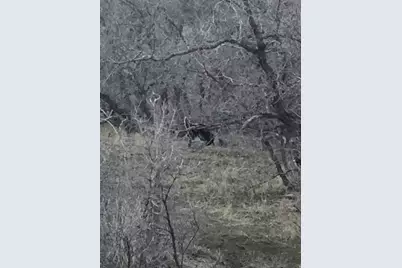 541 S Left Fork Hobb Rd E #8, Springville, UT 84663 - Photo 10