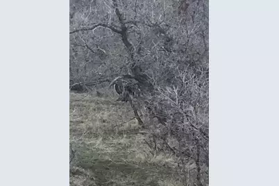 541 S Left Fork Hobb Rd E #8, Springville, UT 84663 - Photo 12