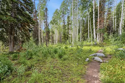 12290 E Camp Tuttle Rd, Brighton, UT 84121 - Photo 18