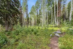 12290 E Camp Tuttle Rd, Brighton, UT 84121 - Photo 18