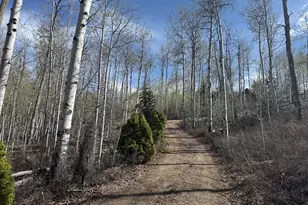 10737 E Tanglewood Dr, Heber City, UT 84032 - Photo 8